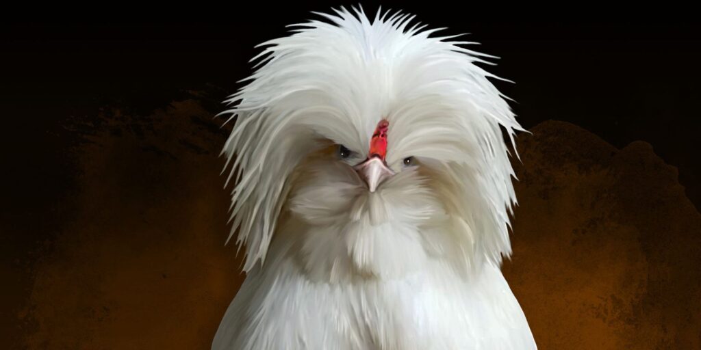 Ma poule adorable